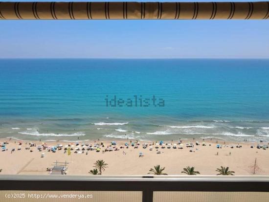 Estupendo ático en primera línea de Playa Muchavista. - ALICANTE