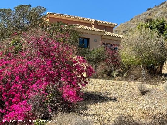  Asombroso Chalet Independiente con Piscina.  - ALMERIA