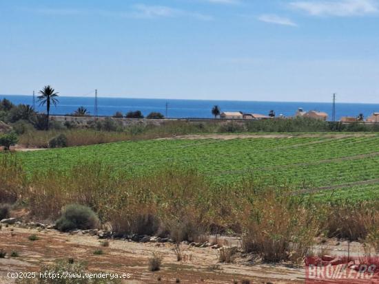  Tu Refugio de Ensueño: Chalet Independiente con Jardín Privado.  - ALMERIA