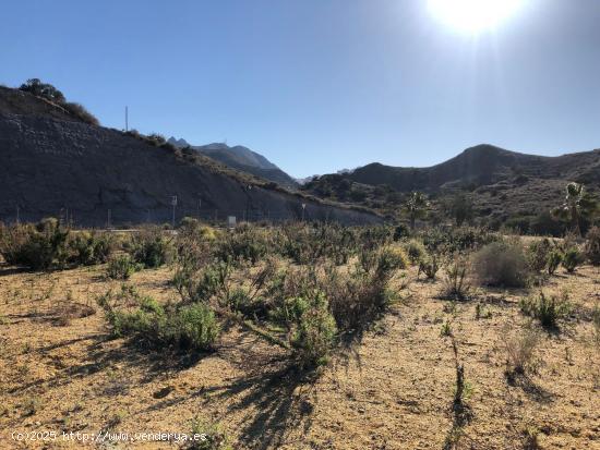  Construye Tu Sueño en Mojácar: Terreno Disponible.  - ALMERIA