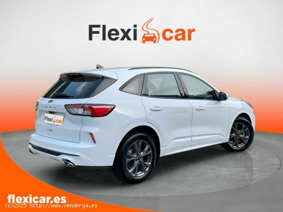 Ford Kuga ST-Line 1.5T EcoBoost 110kW (150CV) - Vizcaya