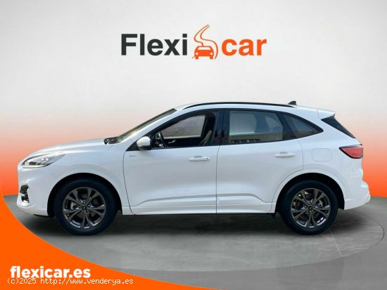 Ford Kuga ST-Line 1.5T EcoBoost 110kW (150CV) - Vizcaya