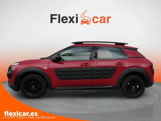 Citroën C4 Cactus PureTech 60KW (82CV) S&S Shine - Oviedo