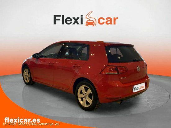 Volkswagen Golf BlueMotion 1.6 TDI 110CV - Alicante