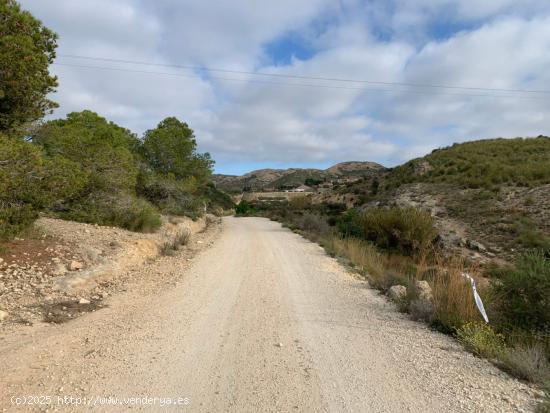 Parcela con terreno rústico de 37.000m2 en zona Bonavista - ALICANTE