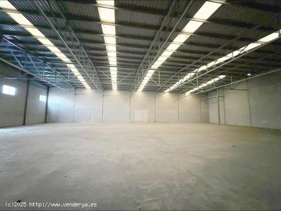 Nave en alquiler en Elche, zona Porcelanosa. - ALICANTE