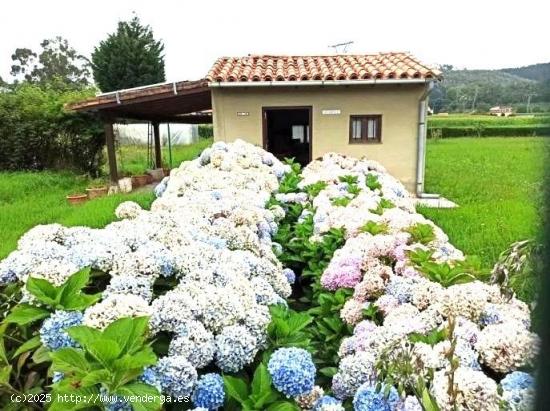 Pequeña Cabaña con terreno llano - CANTABRIA