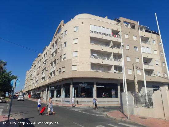 Alquiler para todo el año-Torrevieja, Zona centro-Cortes valencianas - ALICANTE