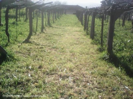 Magnifico y soleado terreno en Mos! - PONTEVEDRA