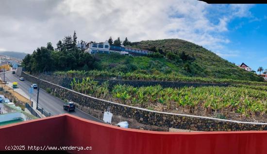 Casa en alquiler en Puerto de la Cruz (La Vera). - SANTA CRUZ DE TENERIFE