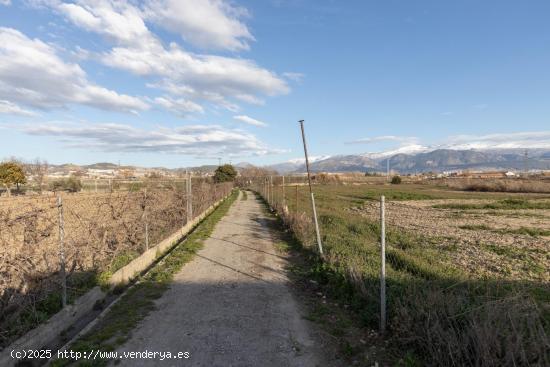 Finca Rústica de 3,500 m² en la Vega de Granada por Solo 35,000 € - GRANADA