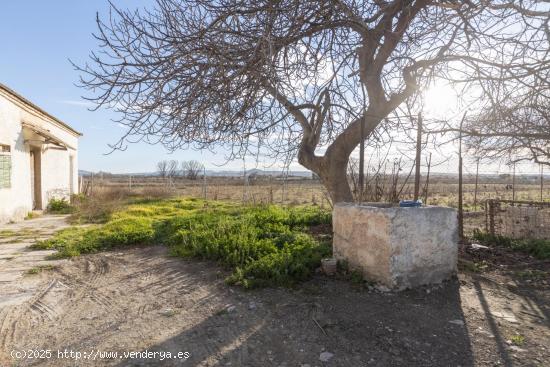 Finca Rústica de 3,500 m² en la Vega de Granada por Solo 35,000 € - GRANADA