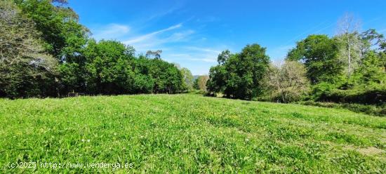 FINCA RÚSTICA  EN VILLASEVIL - CANTABRIA