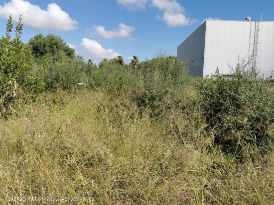 Finca Rústica en zona Ses Salines con proyecto edificación - BALEARES