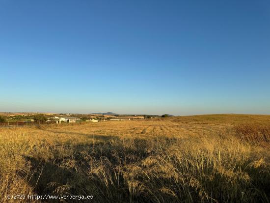 CASABANCO VENDE FINCA RÚSTICA PRÓXIMA A MÉRIDA. - BADAJOZ