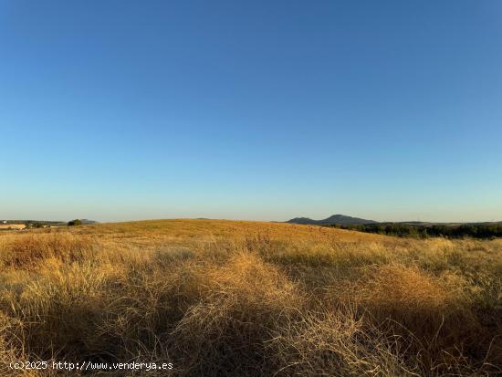 CASABANCO VENDE FINCA RÚSTICA PRÓXIMA A MÉRIDA. - BADAJOZ