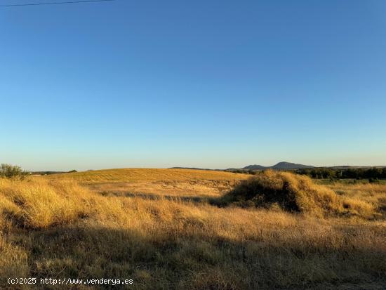 CASABANCO VENDE FINCA RÚSTICA PRÓXIMA A MÉRIDA. - BADAJOZ