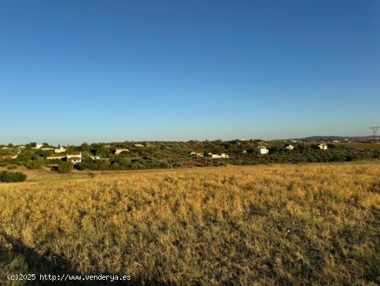 CASABANCO VENDE FINCA RÚSTICA EN CAMINO VALLE DE LA HIGUERA (MÉRIDA). - BADAJOZ