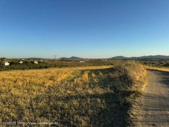 CASABANCO VENDE FINCA RÚSTICA EN CAMINO VALLE DE LA HIGUERA (MÉRIDA). - BADAJOZ