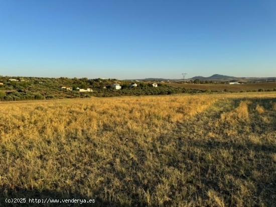 CASABANCO VENDE FINCA RÚSTICA EN CAMINO VALLE DE LA HIGUERA (MÉRIDA). - BADAJOZ