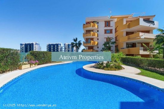 Apartamento en alquiler en Orihuela (Alicante)