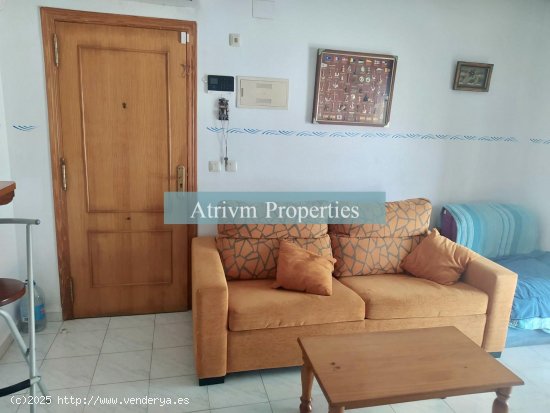 Apartamento en alquiler en Torrevieja (Alicante)