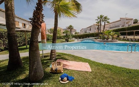 Apartamento en alquiler en Torrevieja (Alicante)