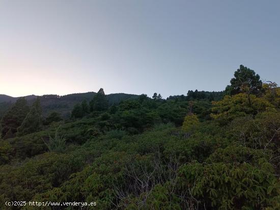 Terreno Rústico en el Encantador Paisaje de Siete Lomas, Arafo - SANTA CRUZ DE TENERIFE