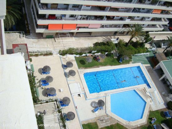 Estudio en alquiler en Torremolinos (Málaga)