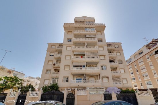 Apartamento en venta en Torrevieja (Alicante)