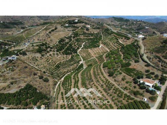 Finca en venta en Benajarafe (Málaga)