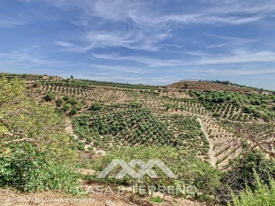 Finca en venta en Benajarafe (Málaga)