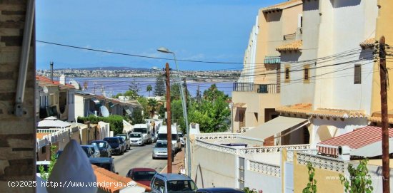 Apartamento en venta en Torrevieja (Alicante)