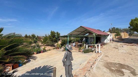 Casa en venta en Elche (Alicante)