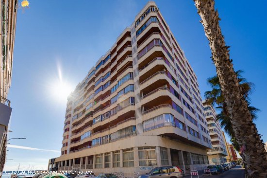 Apartamento en venta en Torrevieja (Alicante)