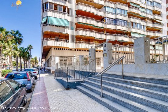 Apartamento en venta en Torrevieja (Alicante)