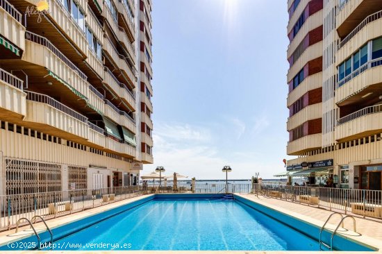 Apartamento en venta en Torrevieja (Alicante)