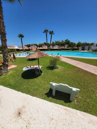 Bungalow en venta en Torrevieja (Alicante)