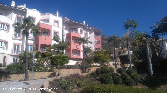 Apartamento en alquiler en Benalmádena (Málaga)