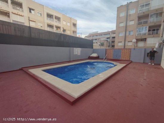 Apartamento en venta en Torrevieja (Alicante)