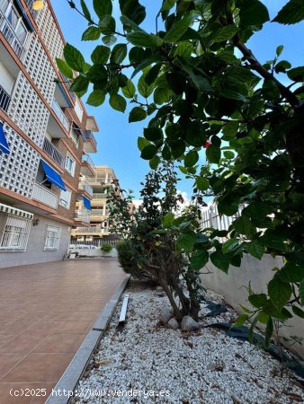 Apartamento en venta en Torrevieja (Alicante)