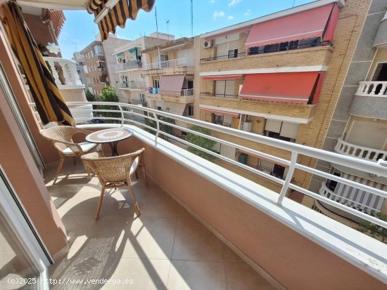 Apartamento en alquiler en Torrevieja (Alicante)