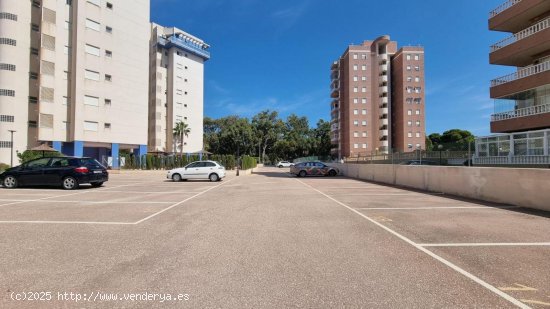 Piso en venta en Guardamar del Segura (Alicante)