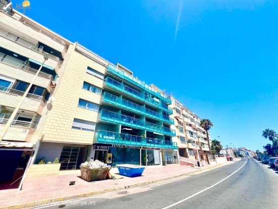 Piso en venta en Torrevieja (Alicante)