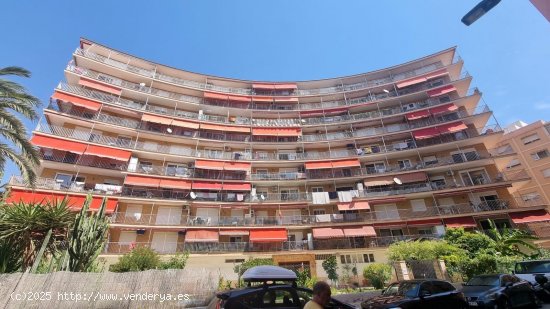 Apartamento en venta en Torrevieja (Alicante)