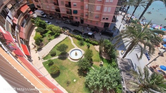 Apartamento en venta en Torrevieja (Alicante)