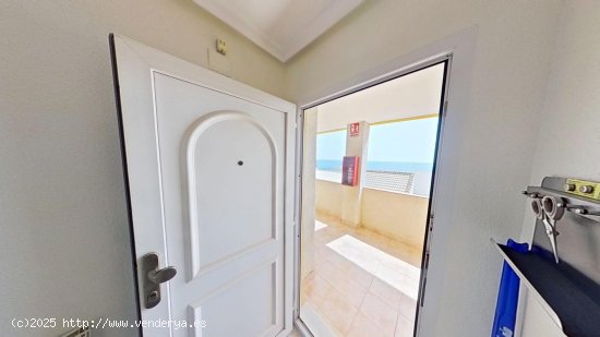 Apartamento en venta en Torrevieja (Alicante)