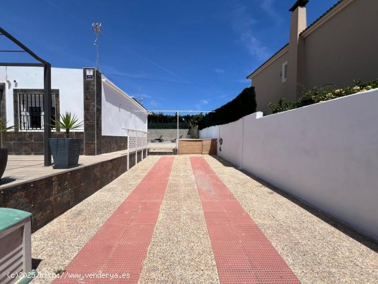 Villa en venta en Torrevieja (Alicante)