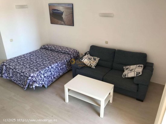 Estudio en alquiler en Benalmádena (Málaga)