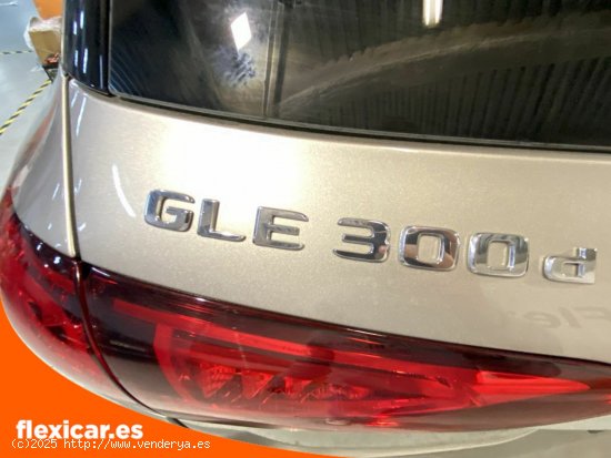 Mercedes Clase GLE GLE 300 d 4MATIC - Biscay